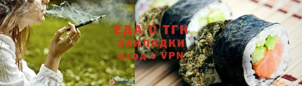 индика Вяземский