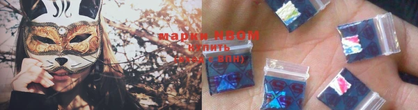 индика Вяземский