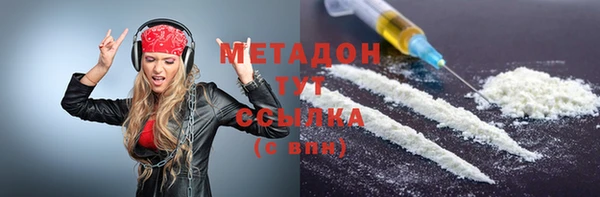 индика Вяземский