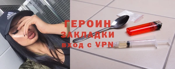 индика Вяземский