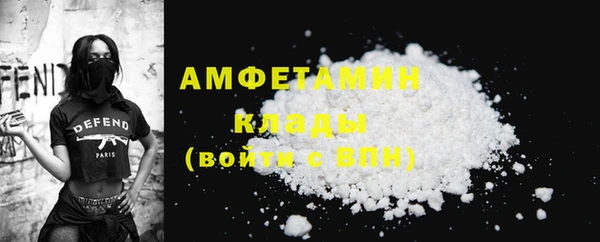 индика Вяземский