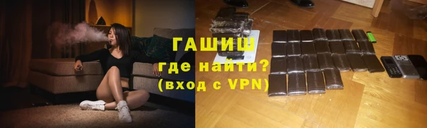 индика Вяземский