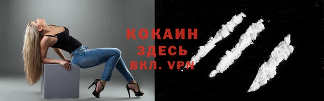 индика Вяземский