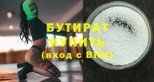 индика Вяземский