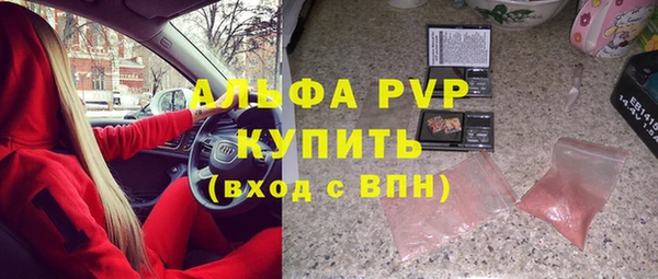 индика Вяземский