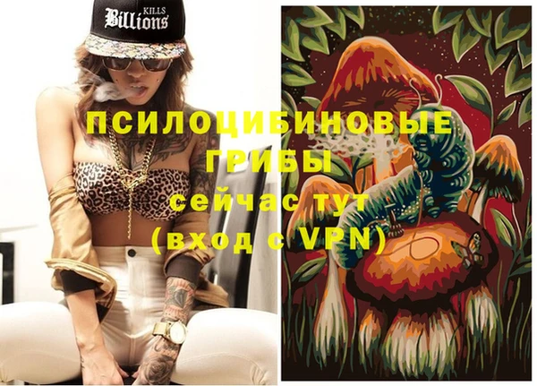 индика Вяземский