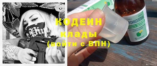 индика Вяземский