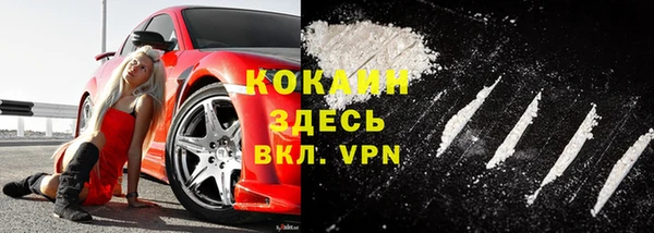 индика Вяземский