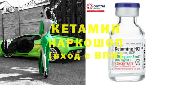 индика Вяземский