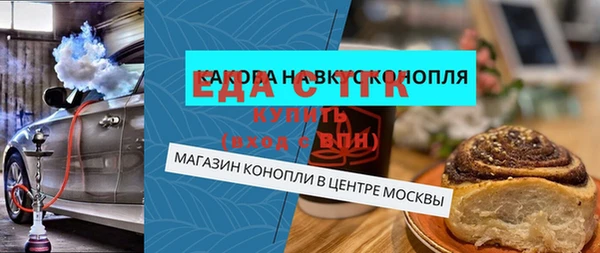 индика Вяземский
