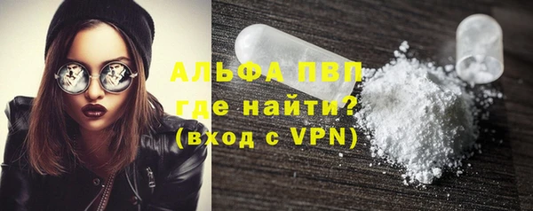 индика Вяземский