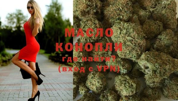 индика Вяземский